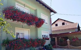 Apartman Ana Gracac